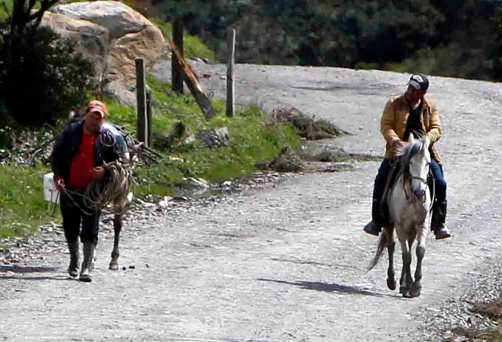 CAMPO COLOMBIANO/AGRICULTURA EN COLOMBIA/CAMPESINOS