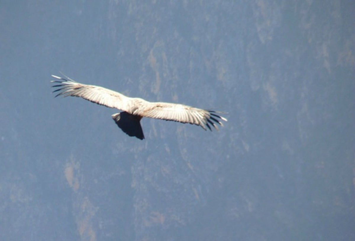 Ecuador