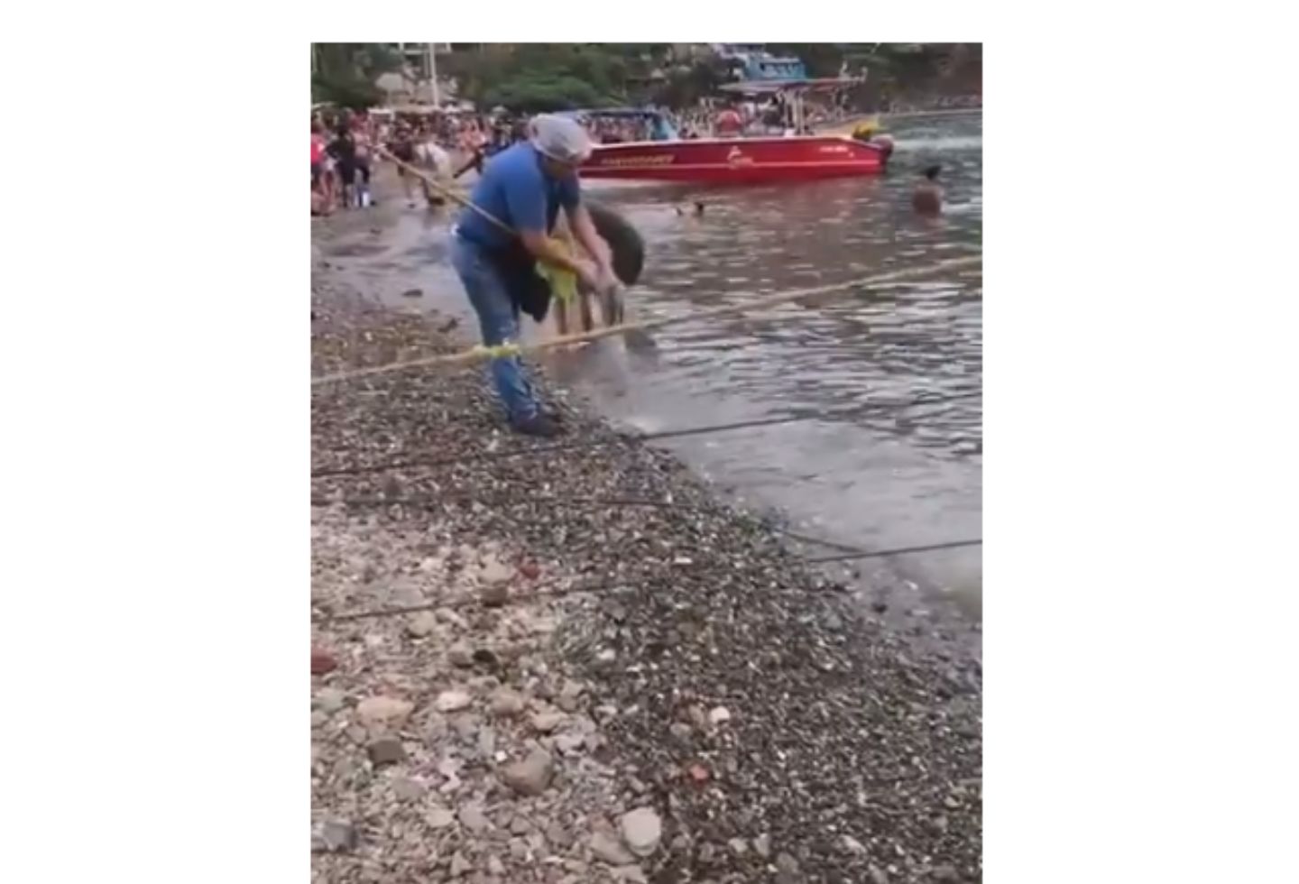 Así se cometen atroces daños ambientales en Santa Marta.