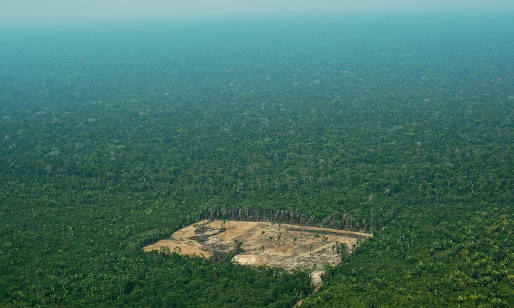 Deforestación en la Amazonía brasileña