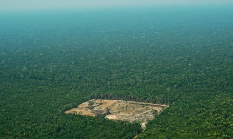Deforestación en la Amazonía brasileña