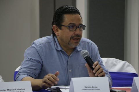 El Alto Comisionado para la Paz