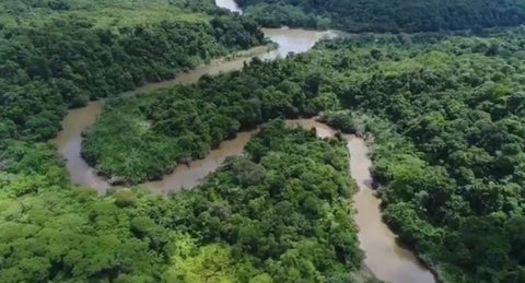 En el Pacífico se encunetran variso de los ecosistemas estratégicos