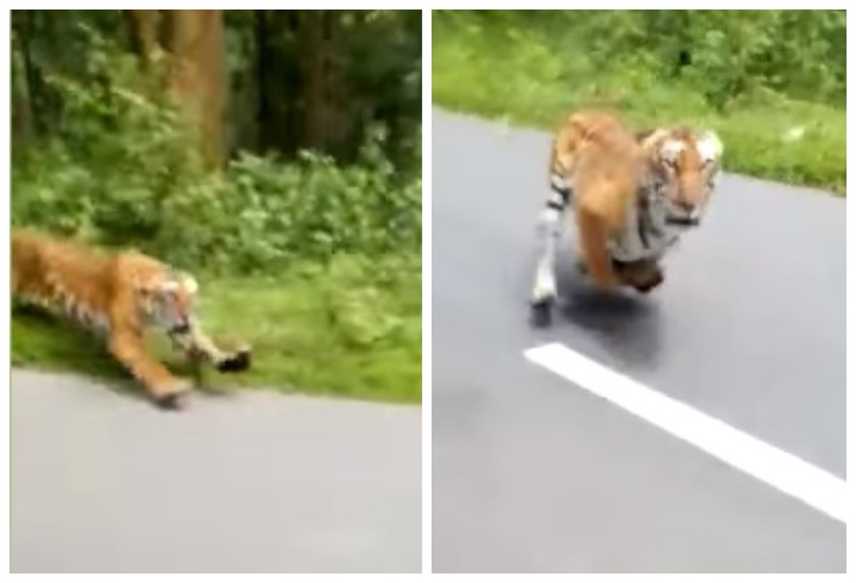 Reserva de wayanad-India