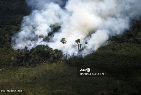 Incendios en la Amazonía