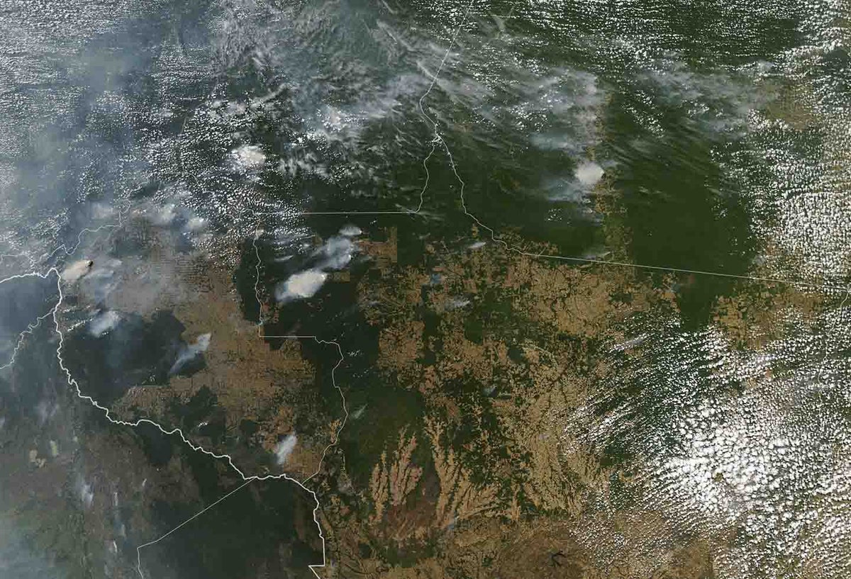Amazonía brasilera.