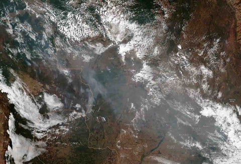 La Amazonía, en riesgo.