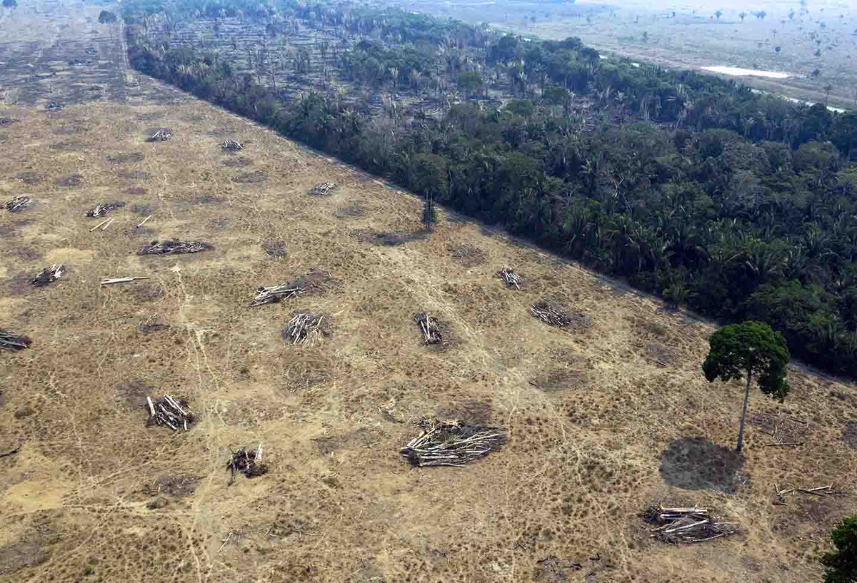 Amazonía brasilera.