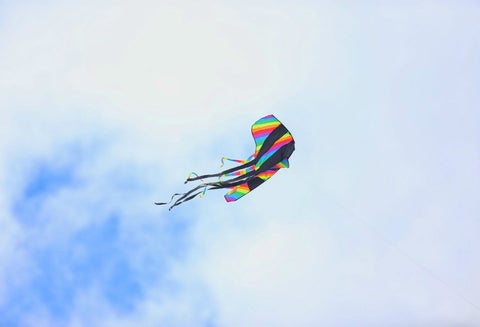 Agosto, el mes de las cometas