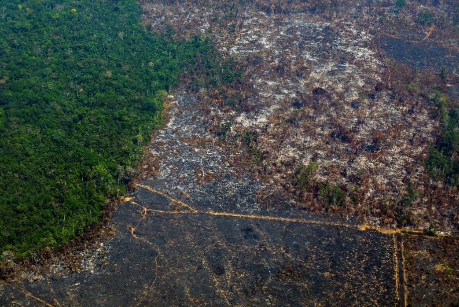 Incendios en la Amazonía