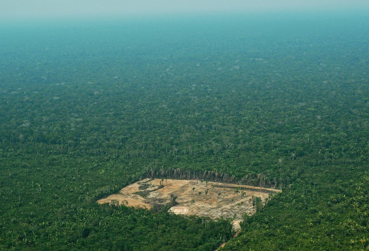 Deforestación en la Amazonia