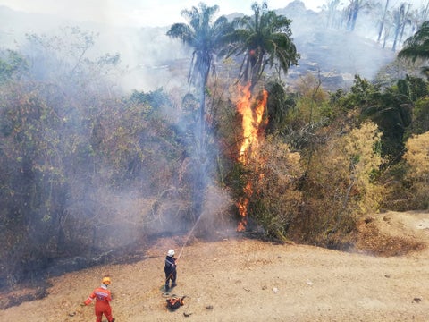 Incendios Forestales