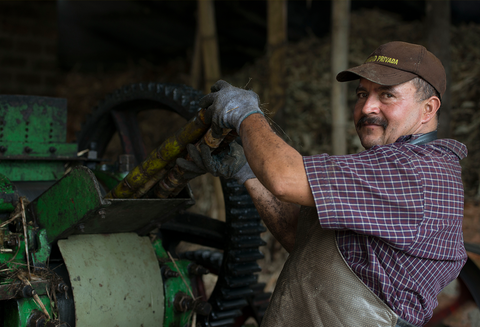 Fundación Santa Rosa