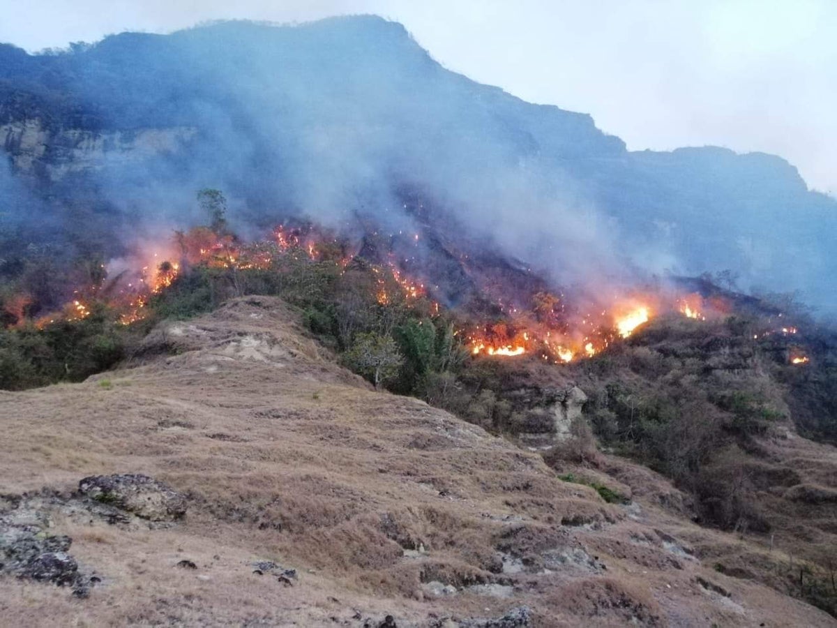 El incendio fue reportado desde el pasado lunes.