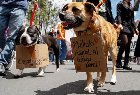 Marcha Nacional