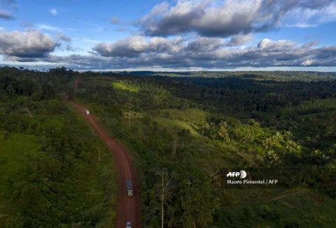 La selva amazónica ejerce un rol crucial en la estabilidad de los climas regional y mundial