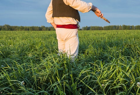 Trabajador del campo