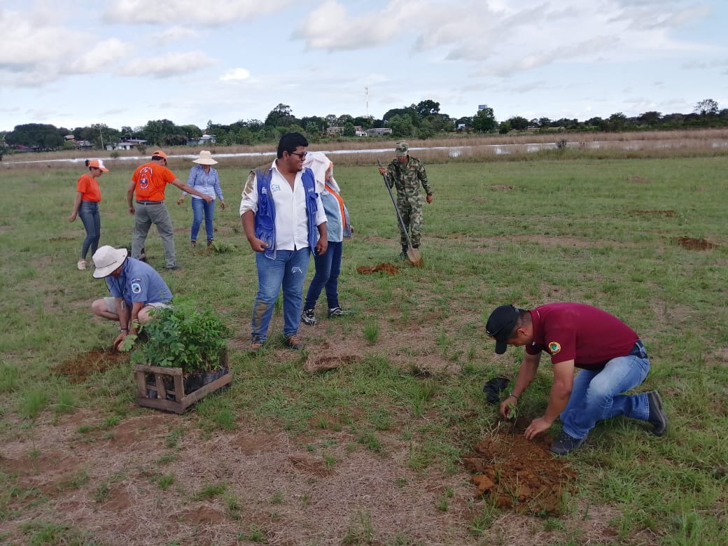 En Cumaribo siembran árboles para proteger fuentes hídricas
