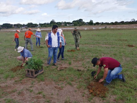 En Cumaribo siembran árboles para proteger fuentes hídricas