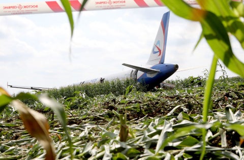 Avión de Ural Airlines después de aterrizaje forzoso en un campo de maíz