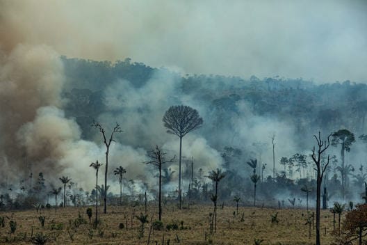 Incendio Forestal en la amazonia brasileña
