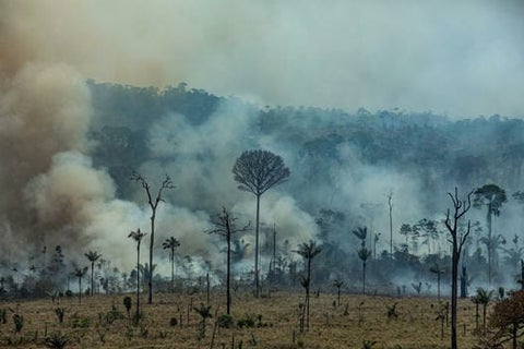 Incendio Forestal en la amazonia brasileña