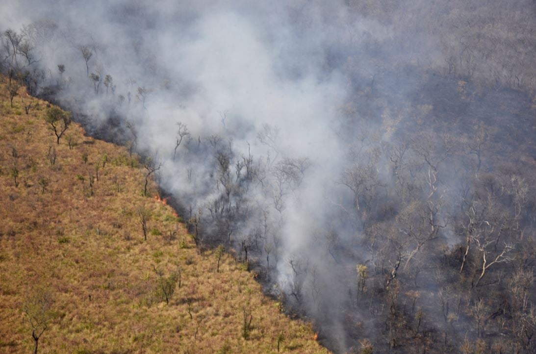 Incendio en la Amazonia