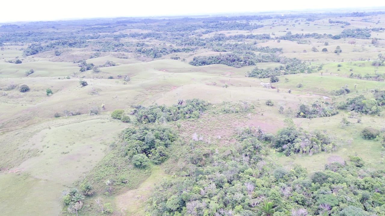 Panorámica de zonas de deforestación en el Caquetá