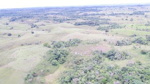 Panorámica de zonas de deforestación en el Caquetá