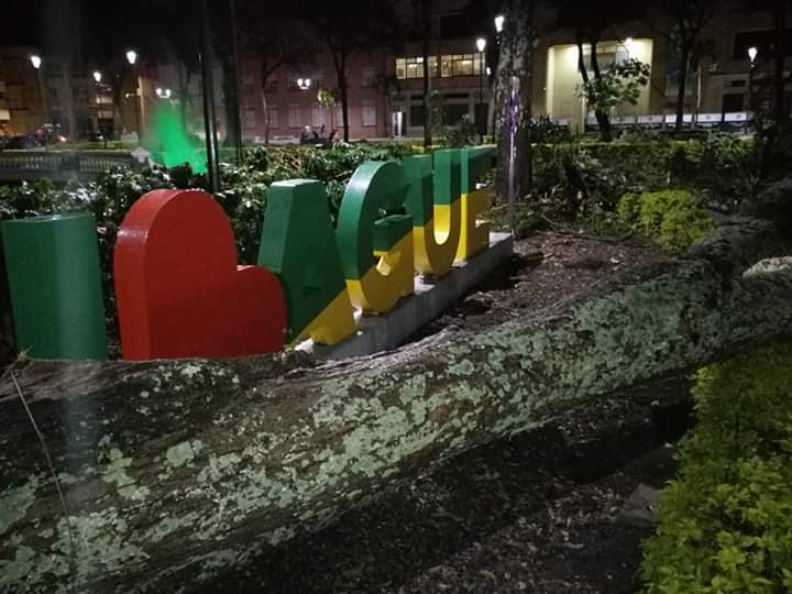 Emergencia por lluvias en Ibagué