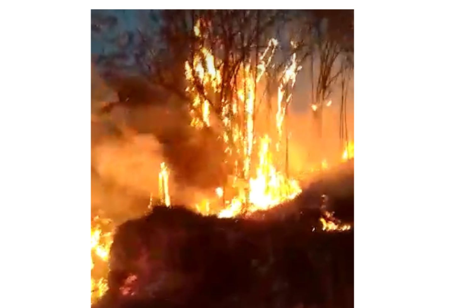 Así está el incendio forestal en Nimaima