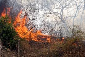 Incendios Forestales en Norte de Santander
