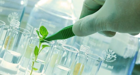 Laboratorio tecnología