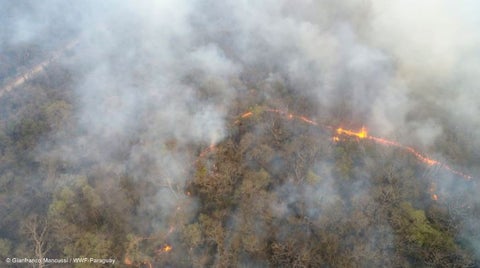 Vista aérea de incendio forestal