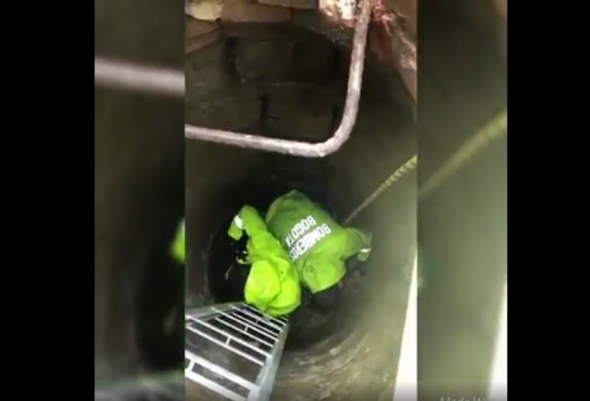 Rescate de perro en alcantarilla