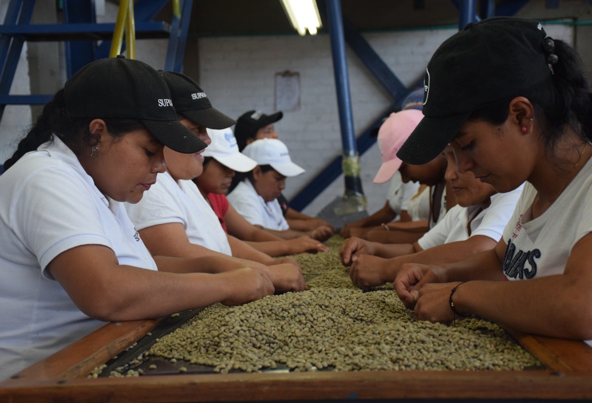 Tecnicafé, Parque Tecnológico del Café