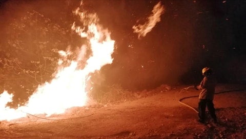 Según consolidado preliminar más de 25 mil hectáreas han sido afectadas por el fuego en el Tolima