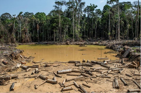 Deforestación en el Amazonas