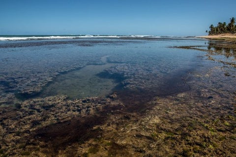Playa Brasil con petroleo