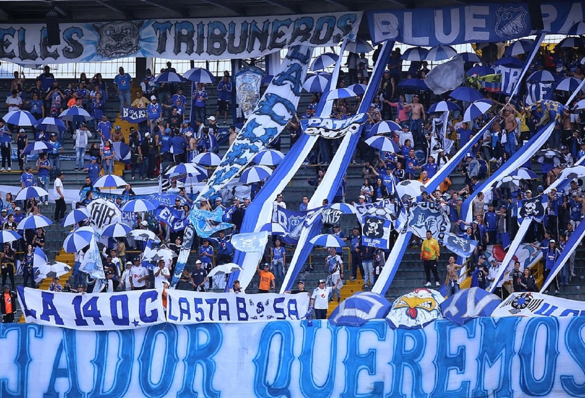 Hinchas de Millonarios