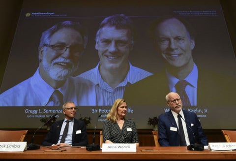 Ganadores del Nobel de Medicina 2019