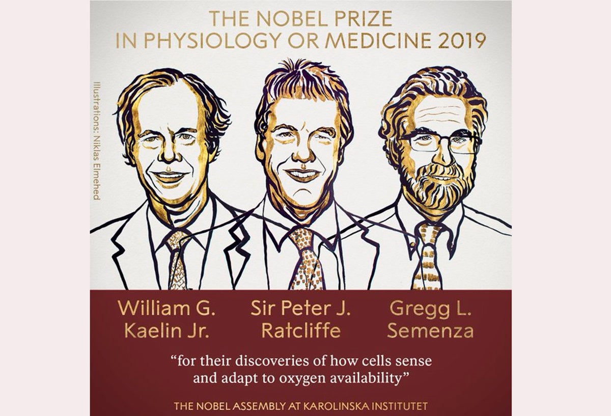 William G. Kaelin, Peter J. Ratcliffe y Gregg L. Semenza, ganadores del Premio Nobel de Medicina 2019