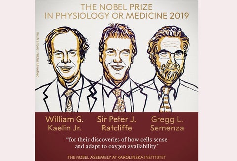 William G. Kaelin, Peter J. Ratcliffe y Gregg L. Semenza, ganadores del Premio Nobel de Medicina 2019
