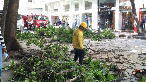 Centro Histórico de Santa Marta