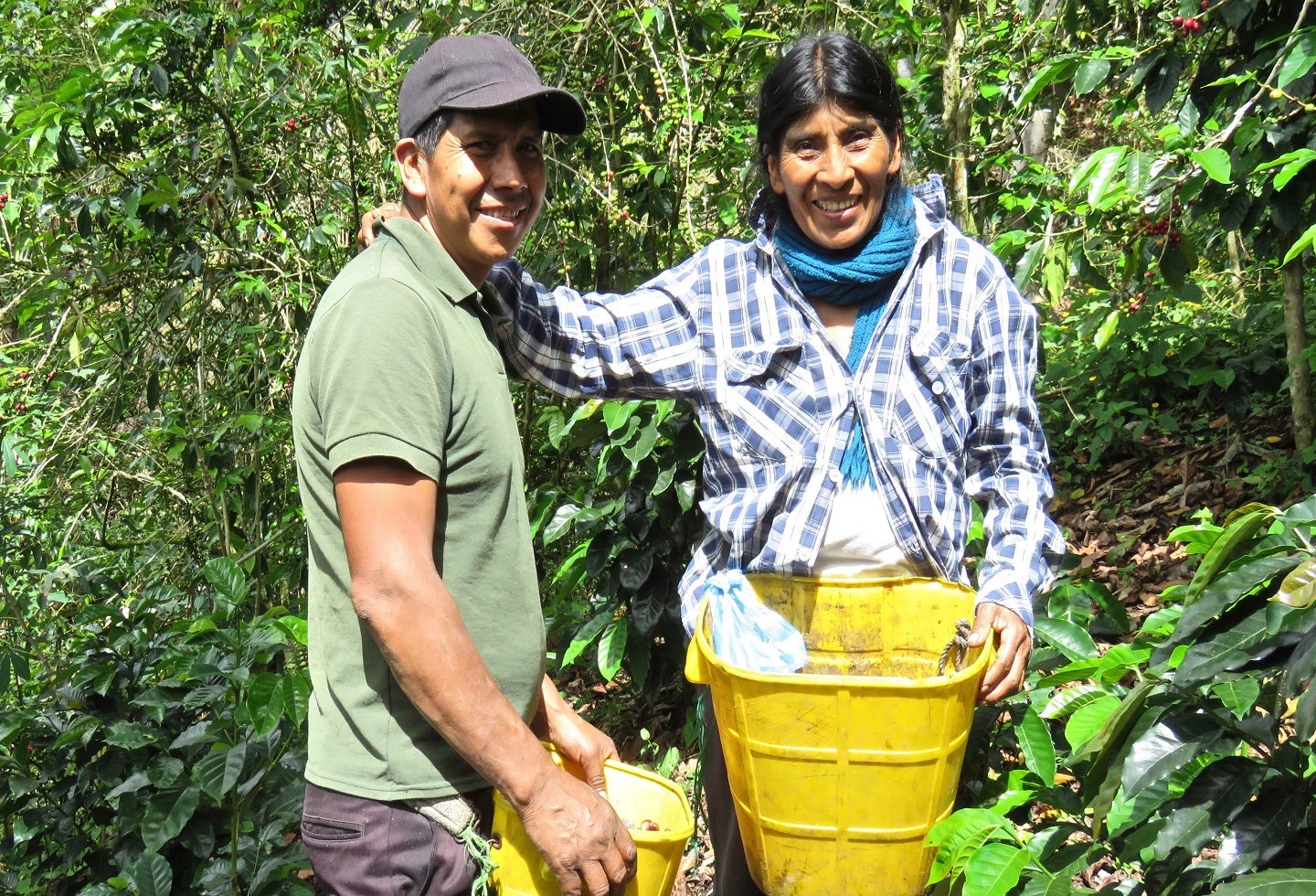 Caficultores Tierradentro