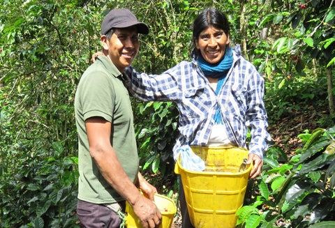 Caficultores Tierradentro