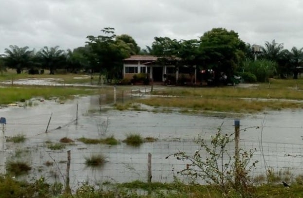 En la zona ha llovido fuertemente en las últimas horas, advirtieron los pobladores.