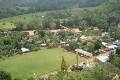 Las poblaciones con riego alto están el sur de Córdoba