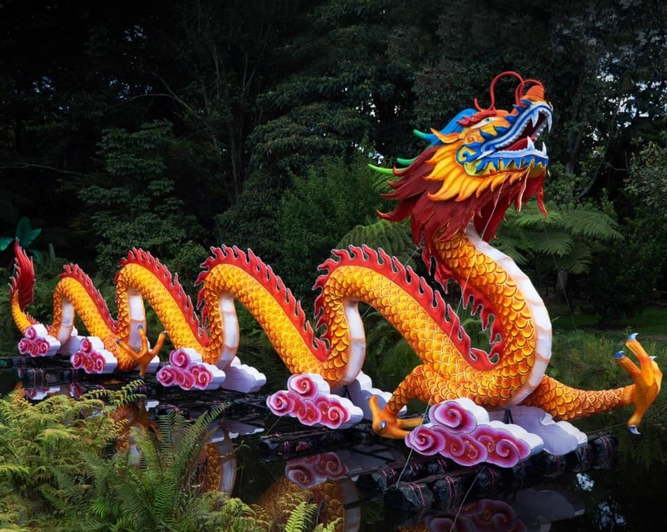 Hasta el 12 de enero el Festival Brilla Colombia rendirá un homenaje a la flora y fauna del país