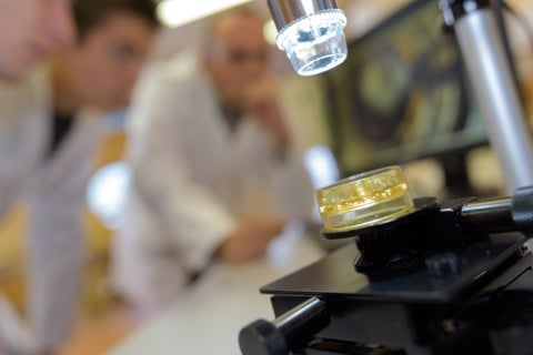 Científicos en laboratorio